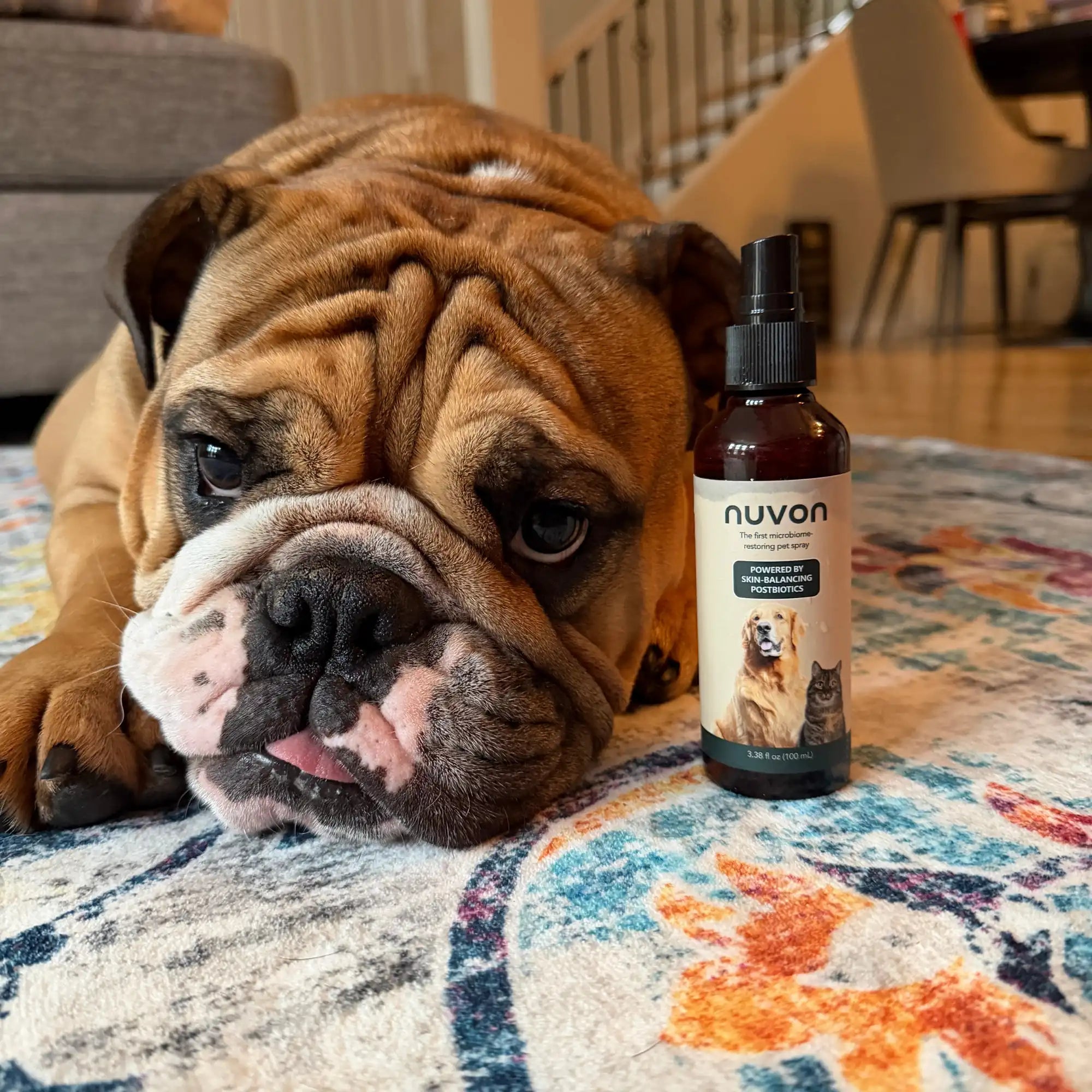 Nuvon Skin Restore Protocol