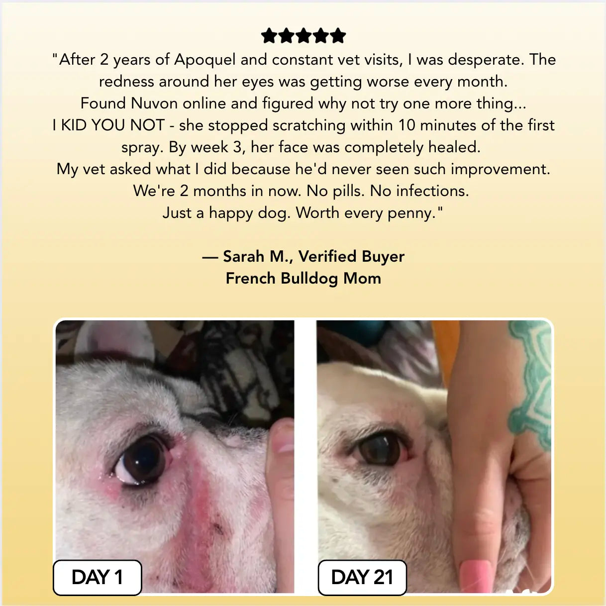 Vet-backed skin relief spray