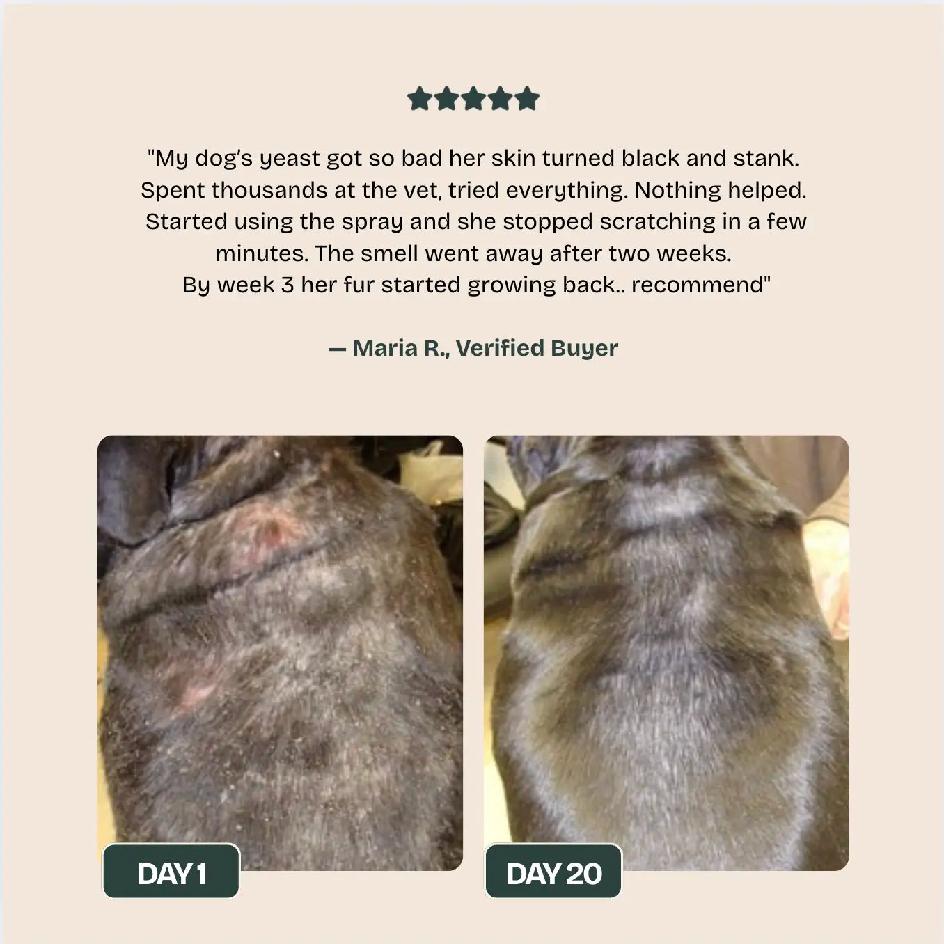 NUVON QUICKHEAL® SPRAY