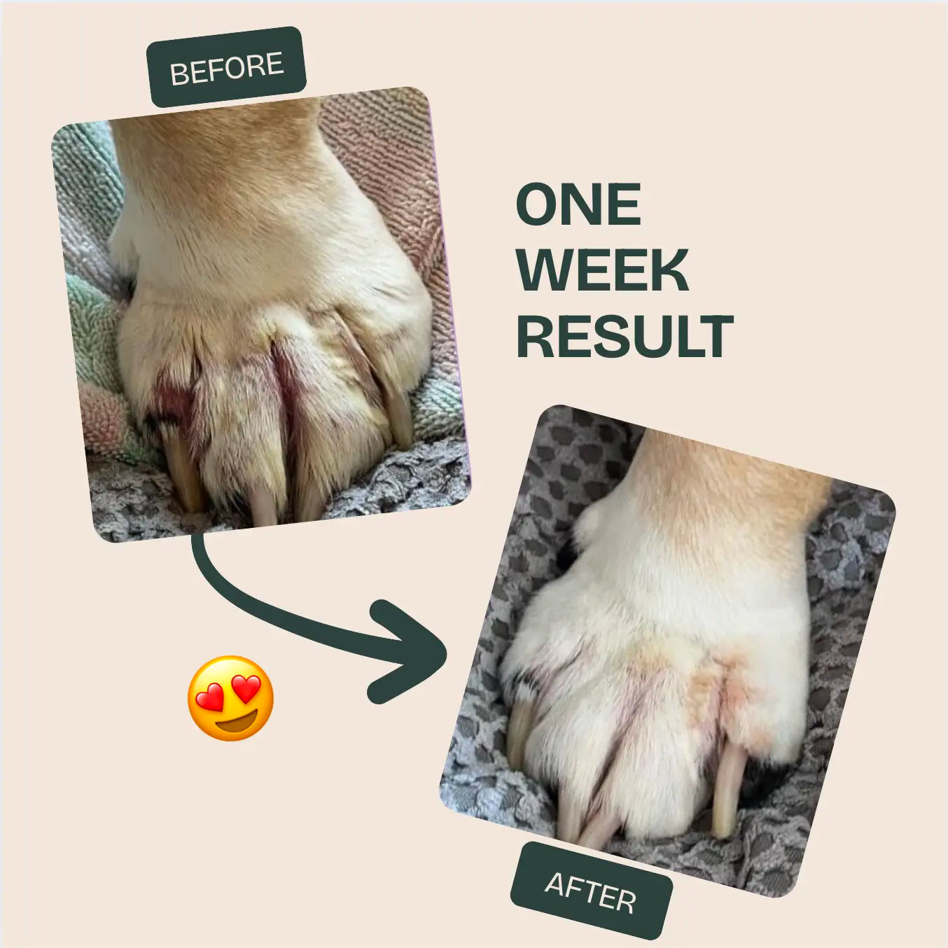 NUVON QUICKHEAL® SPRAY