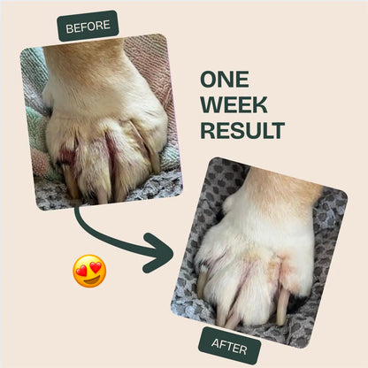NUVON QUICKHEAL® SPRAY