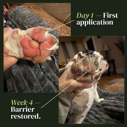 Nuvon Skin Restore Protocol
