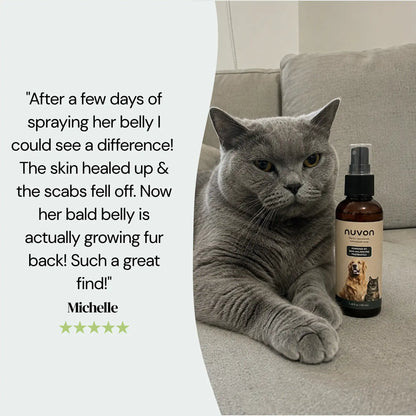 Nuvon Skin Restore Protocol for Cats