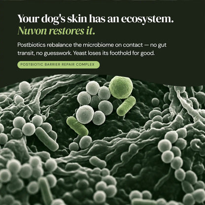 Nuvon Skin Restore Protocol for Cats